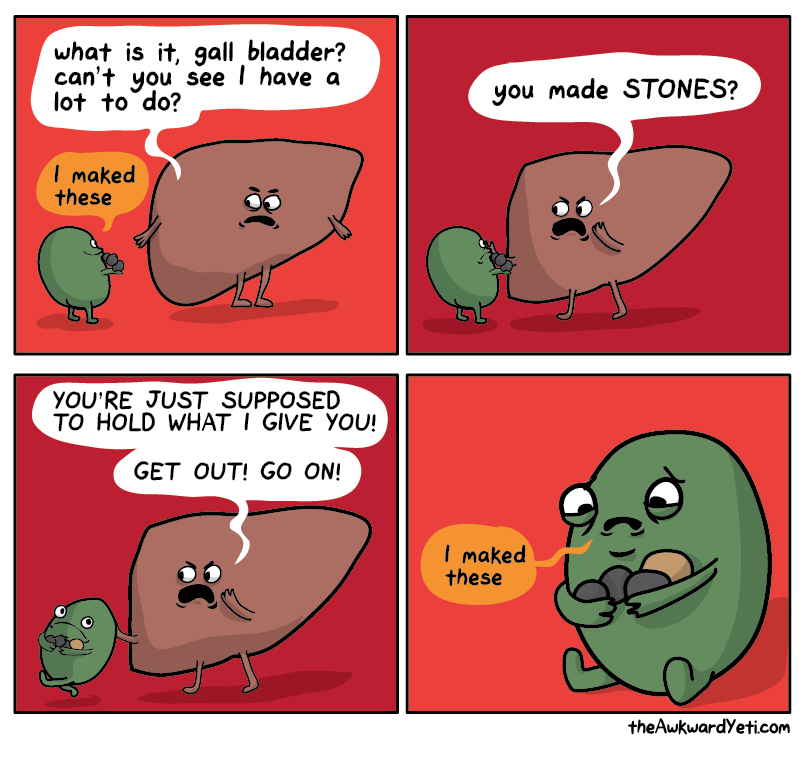 Name:  gall-bladder.png
Views: 232
Size:  128.0 KB