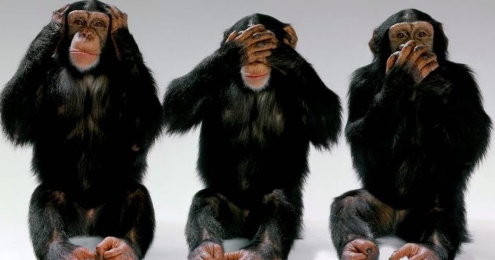 Name:  Three+Wise+Monkeys+Hear+No+Evil+See+No+Evil+Speak+No+Evil+Body+Language+Nonverbal+Communication+.jpg
Views: 259
Size:  73.1 KB